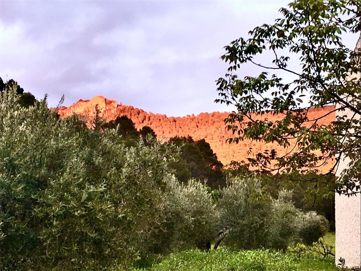 Casa Rural Cortijo La Ajedrea Siles Екстериор снимка