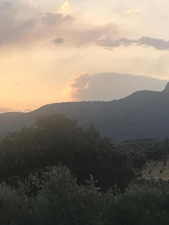 Casa Rural Cortijo La Ajedrea Siles Екстериор снимка